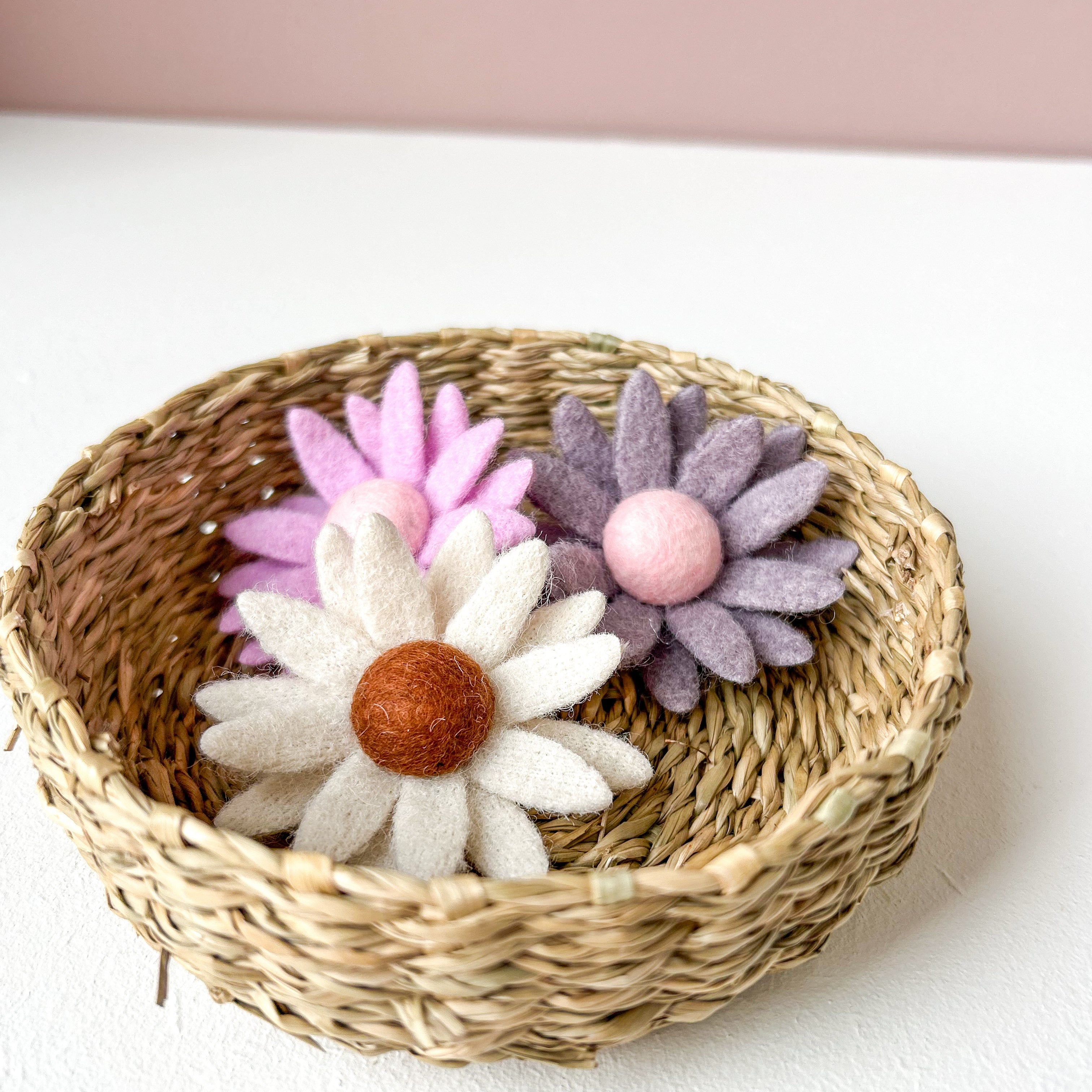 Alligator - Wool flowers