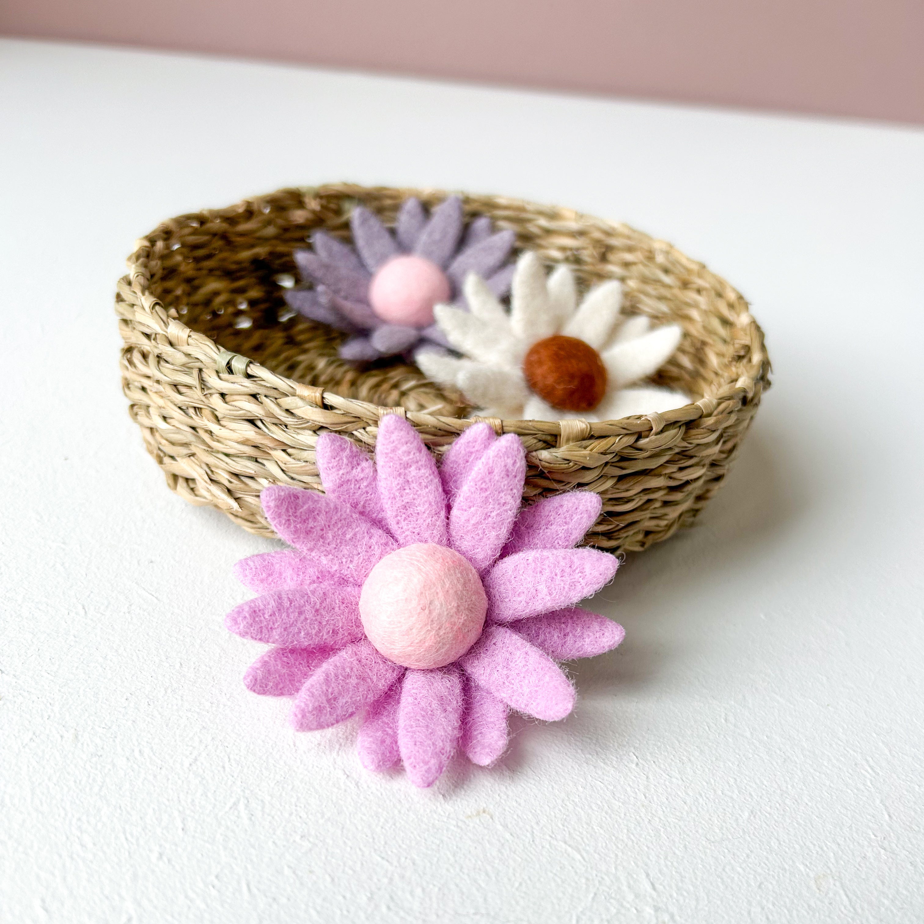 Alligator - Wool flowers