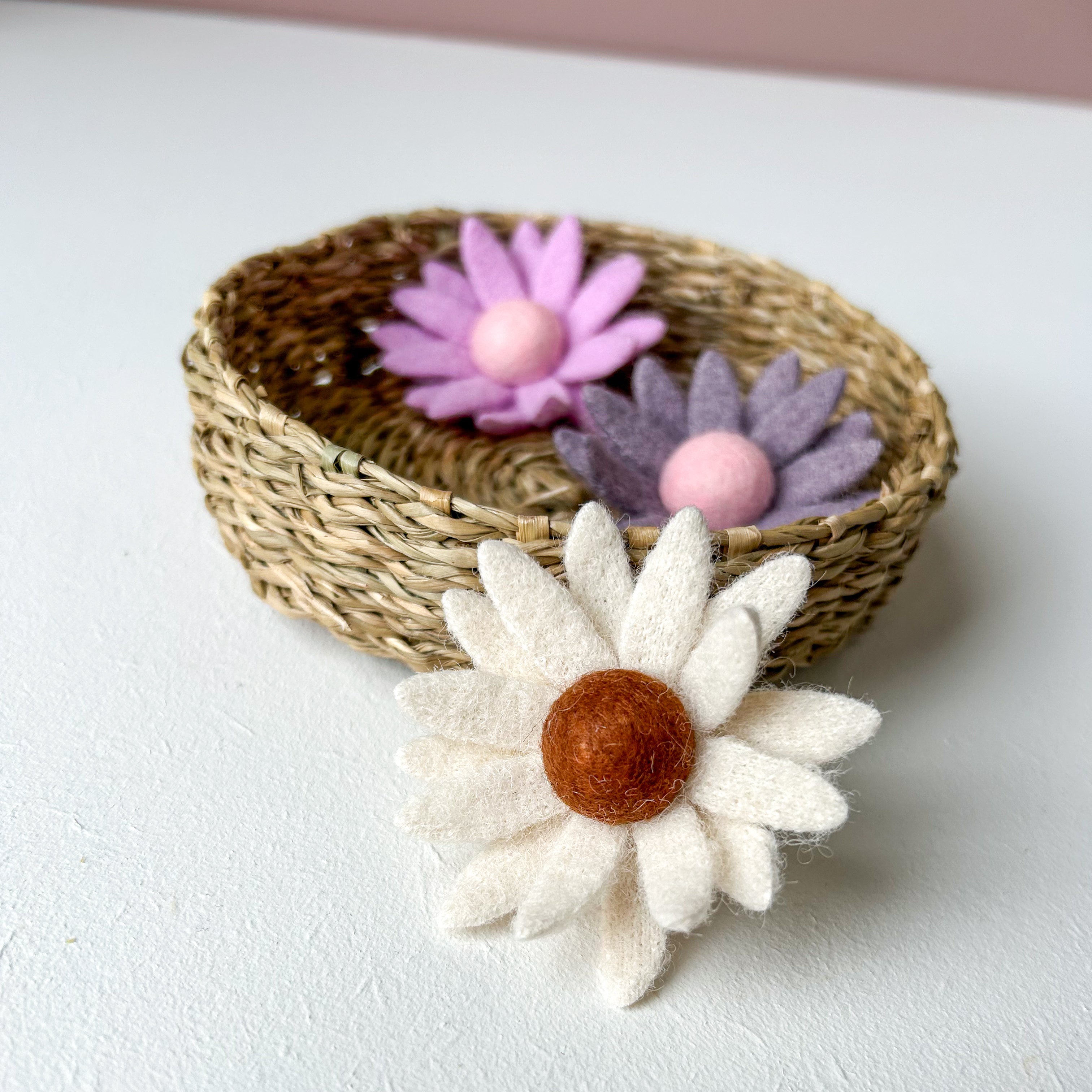 Alligator - Wool flowers